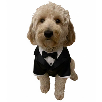 Avantgarde Design Home Builders Aaron Kantenwein Florida